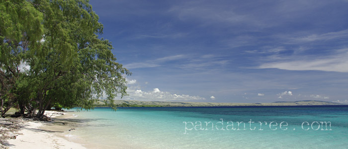 スンバ島イメージ画像 インドネシアスンバ島の海